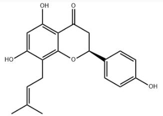 8-異戊烯基柚皮素（8-PN）