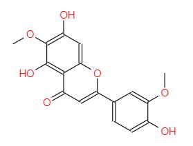 棕矢車菊素（Jaceosidin）